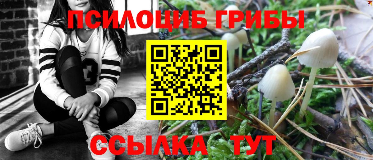 Галлюциногенные грибы MAGIC MUSHROOMS Верхний Уфалей