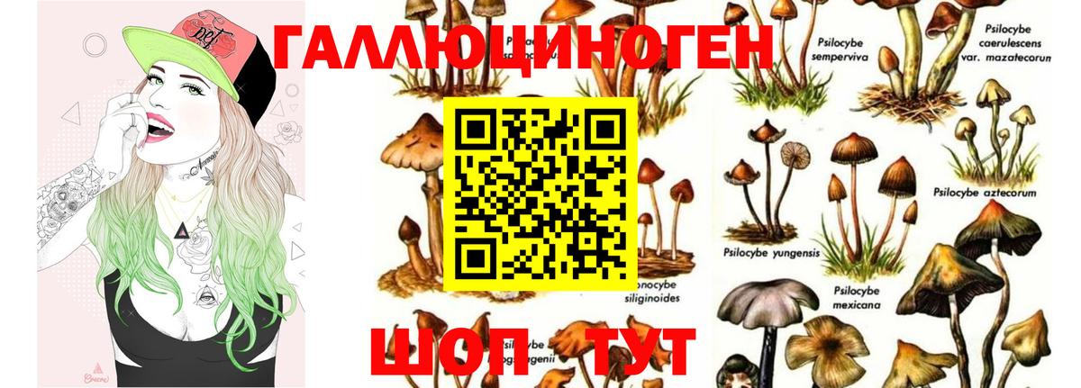 купить наркотик  Галлюциногенные грибы Magic Shrooms  Вход с VPN  Псилоцибиновые грибы прущие грибы  Верхний Уфалей 